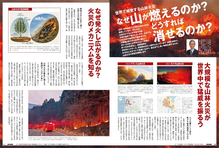 世界で頻発する山林火災　なぜ山が燃えるのか？　どうすれば消せるのか？