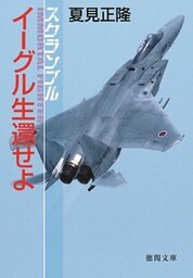 スクランブル　イーグル、生還せよ