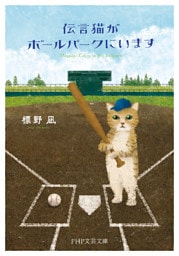 伝言猫がボールパークにいます