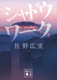 シャドウワーク