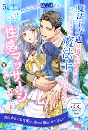 魔法士不遇の国で王宮付きのストレスフル魔法士をしているので、性感マッサージに行ってみました。　～セラピストは大人気騎士様です～【５】