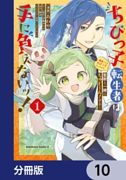 ちびっ子転生者は手に負えないッ！～転生したらちびっ子だったけど、聖獣と一緒にちゅどーん！する～【分冊版】　10