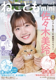 ねこともmini vol.2