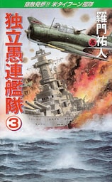 独立愚連艦隊　3　宿敵見参！！米タイフーン艦隊