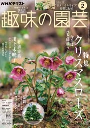 NHK 趣味の園芸 2026年2月号