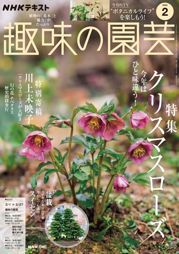 NHK 趣味の園芸 2026年2月号