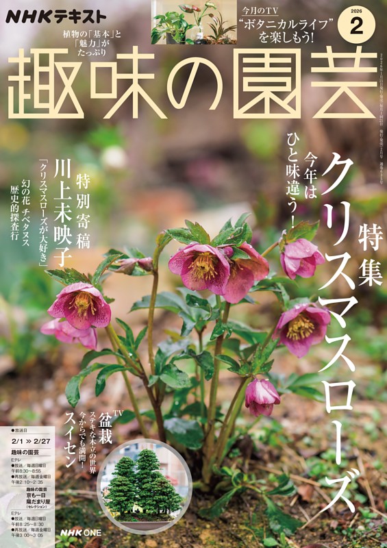 NHK 趣味の園芸 2026年2月号