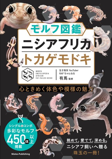 モルフ図鑑 ニシアフリカトカゲモドキ 心ときめく体色や模様の魅力