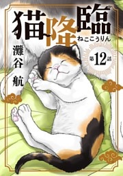猫降臨【単話】（１２）