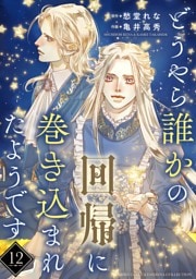 どうやら誰かの回帰に巻き込まれたようです 【分冊版】 12話