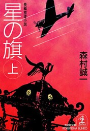 星の旗（上）