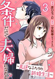 条件だけで、夫婦になれる?～真逆なふたりの新婚生活～ 3巻