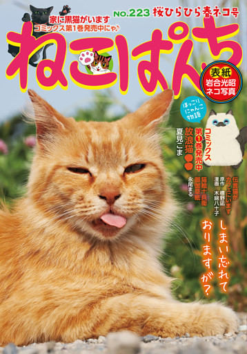 ねこぱんち