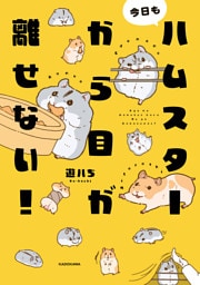 今日もハムスターから目が離せない！