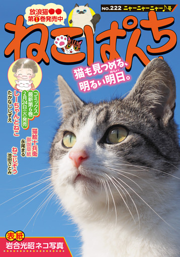 ねこぱんち