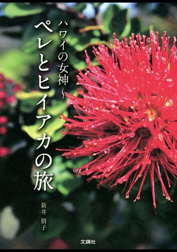 ハワイの女神　ペレとヒイアカの旅