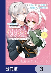姿を偽っていた令嬢は、女嫌いな公爵様のお世話係をしているうちに溺愛されていたみたいです【分冊版】　3