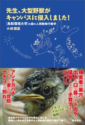 先生、大型野獣がキャンパスに侵入しました！