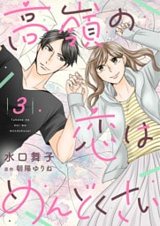 高嶺の恋はめんどくさい【合冊版】【書き下ろし特典付き】３