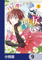 勝手に召喚したくせに「行き遅れだから聖女ではない」と言われました　～異世界はとても面倒です～【分冊版】　9