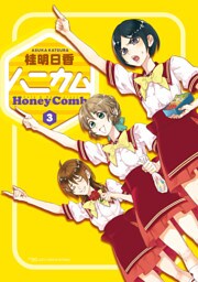 ハニカム 3