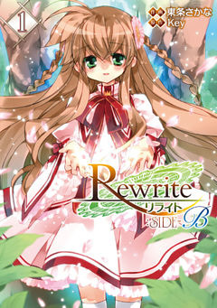 Rewrite：SIDE-B