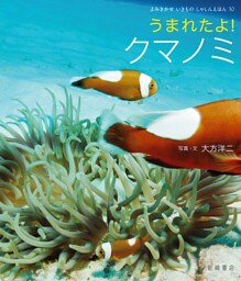 うまれたよ！　クマノミ