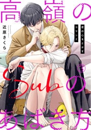 高嶺のSubのあばき方～君の心をとかすコマンド～3