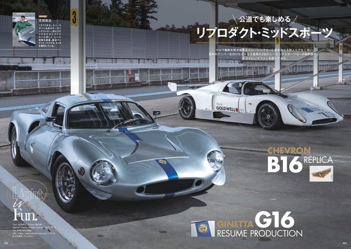 ジネッタとシェブロン (Tipo) | dマガジン