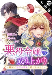 悪役令嬢の成り上がり～隣国で宝石の聖女と呼ばれるまで～（コミック） 分冊版 12