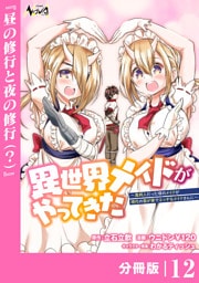 異世界メイドがやってきた～異邦人だった頃のメイドが現代の我が家でエッチなメイドさんに～【分冊版】（ノヴァコミックス）１２