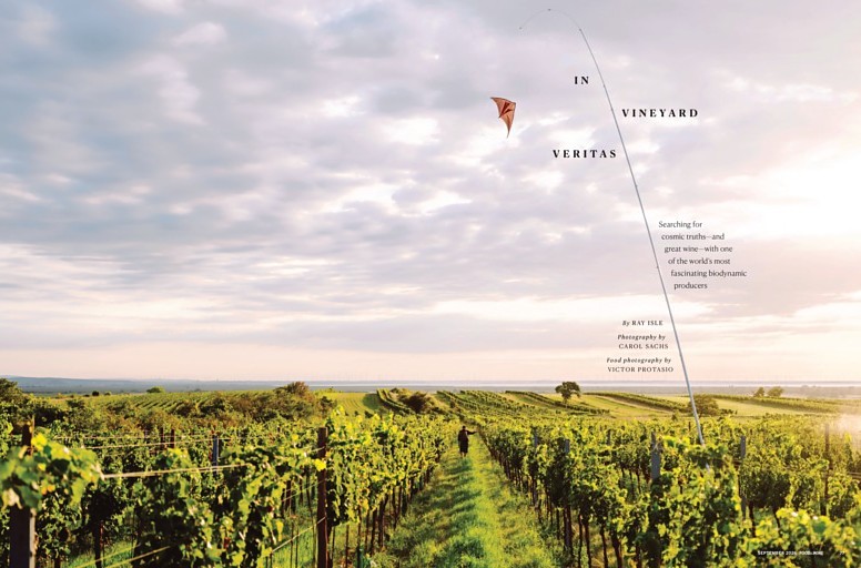 In Vineyard Veritas