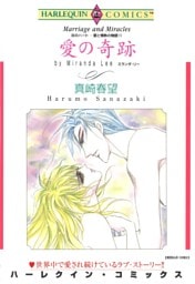 愛の奇跡〈炎のハート－愛と情熱の物語Ⅵ〉【分冊】 12巻