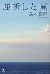 屈折した翼