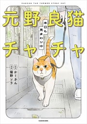 元野良猫チャチャ　本日も見まわり中