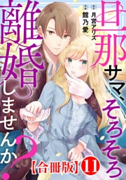 旦那サマ、そろそろ離婚しませんか？【合冊版】11