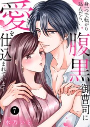 身一つで転がり込んだら、腹黒御曹司に愛を仕込まれています７