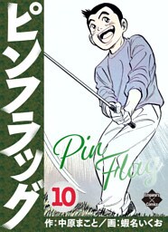 ピンフラッグ 10