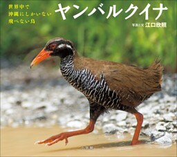 ヤンバルクイナ　～世界中で沖縄にしかいない飛べない鳥～（小学館の図鑑NEOの科学絵本）