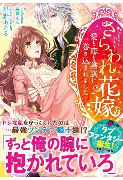 さらわれ花嫁～愛と恋と陰謀に巻き込まれました～