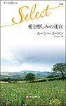 愛と憎しみの迷宮
