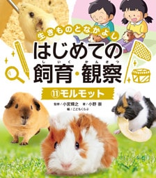 モルモット１１　生きものとなかよし　はじめての飼育・観察