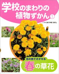 学校のまわりの植物ずかん　花の色でさがせる春の草花