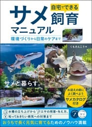 自宅でできる サメ飼育マニュアル 環境づくりから日常のケアまで