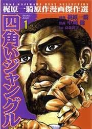 四角いジャングル1