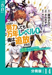 どれだけ努力しても万年レベル０の俺は追放された～神の敵と呼ばれた少年は、社畜女神と出会って最強の力を手に入れる～【分冊版】（ノヴァコミックス）１４