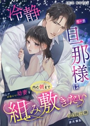冷静年の差旦那様は初心でかわいい幼妻を内心朝まで組み敷きたい