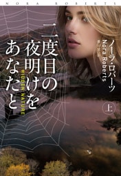 二度目の夜明けをあなたと（上）