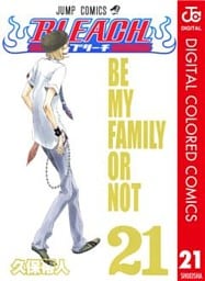 BLEACH カラー版 21