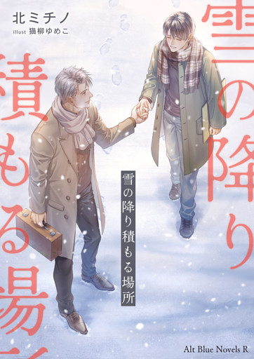 雪の降り積もる場所